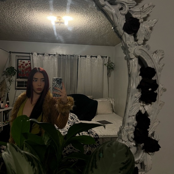 destinysnovela